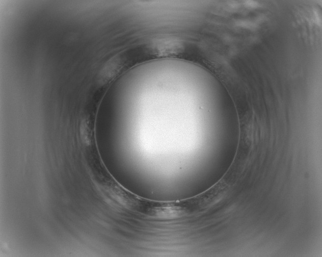 X0000067900316200604131401