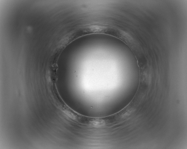 X0000067900317200604131401