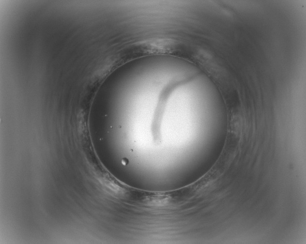 X0000067900318200604131401