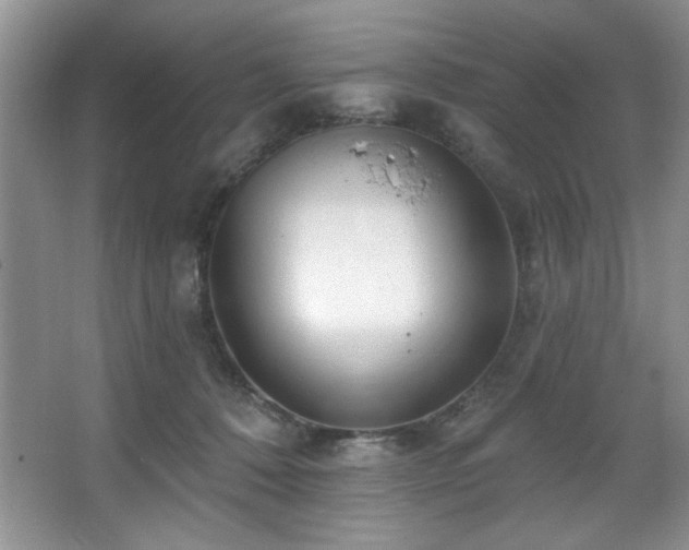 X0000067900320200604131401