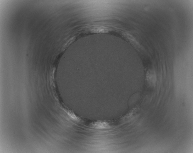 X0000067900322200604131401