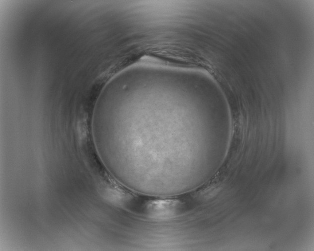 X0000067900323200604131401