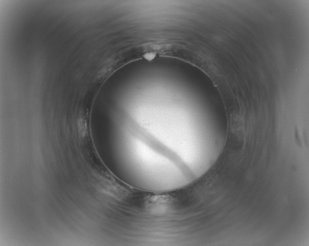 X0000067900324200604131401