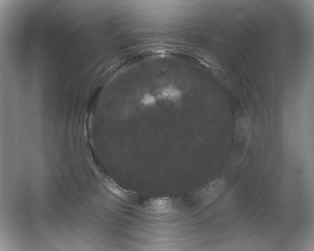 X0000067900325200604131401