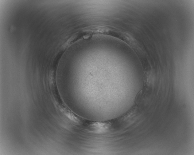 X0000067900326200604131401