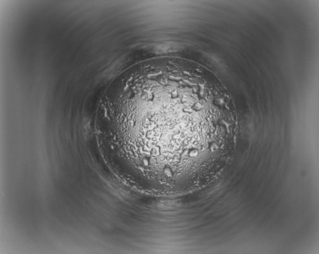 X0000067900327200604131401