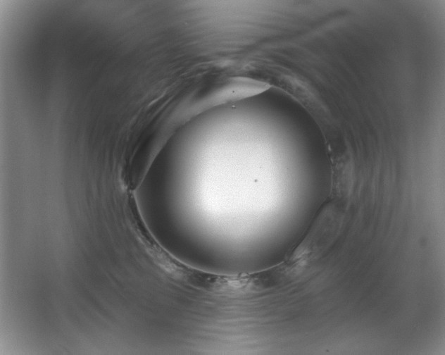 X0000067900329200604131401