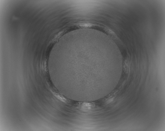 X0000067900330200604131401