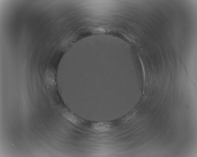 X0000067900331200604131401