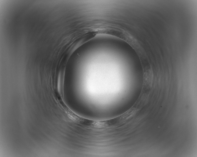 X0000067900333200604131401