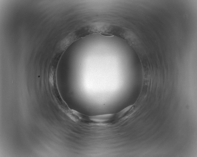 X0000067900334200604131401