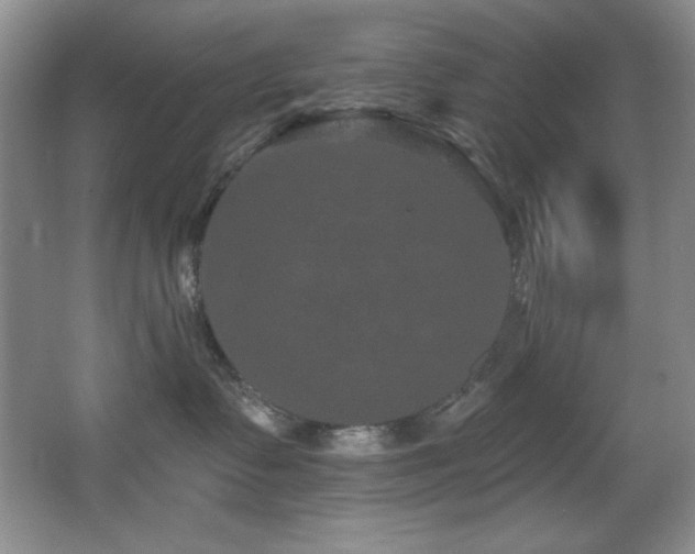 X0000067900335200604131401