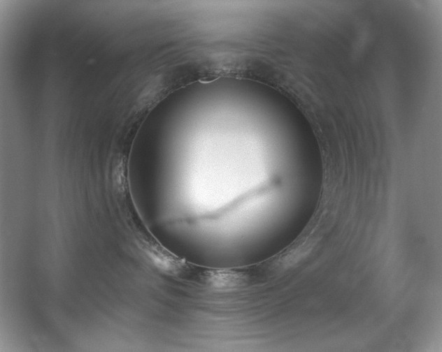 X0000067900336200604131401