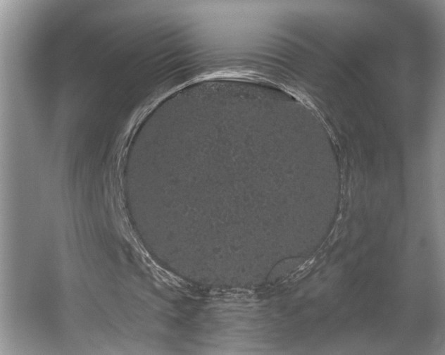 X0000067900337200604131400