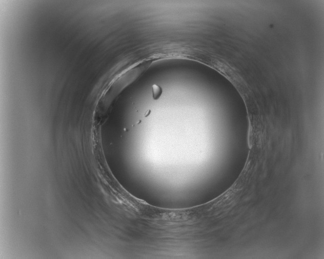 X0000067900338200604131400