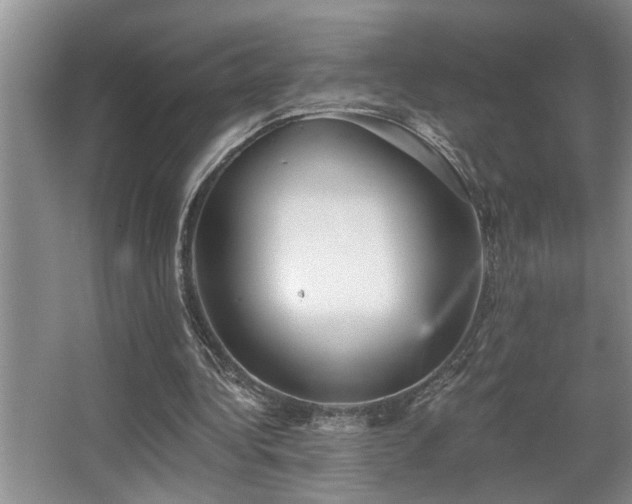 X0000067900340200604131400