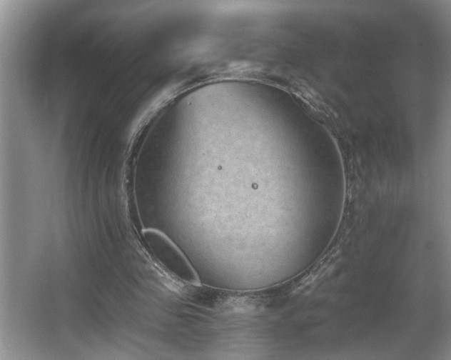 X0000067900341200604131400