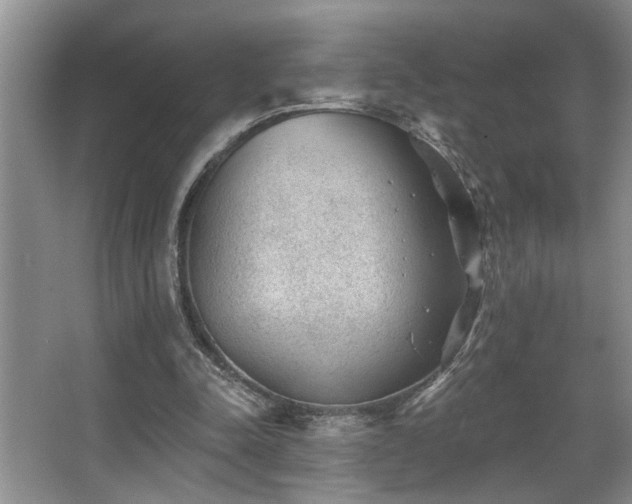 X0000067900342200604131400