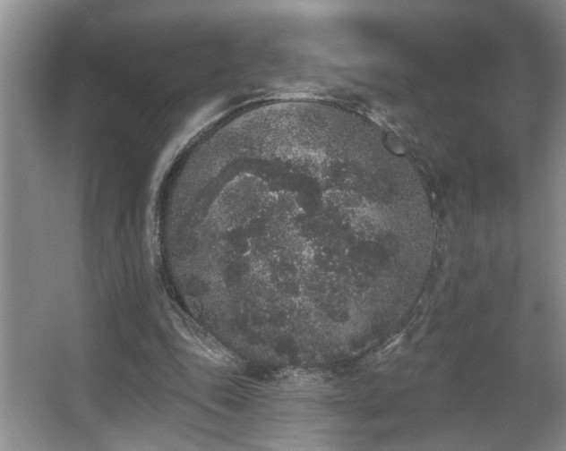 X0000067900343200604131400