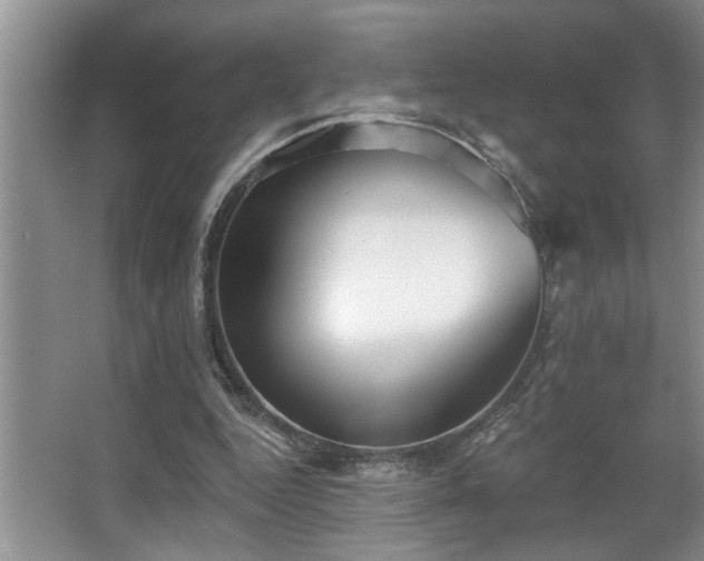 X0000067900344200604131400