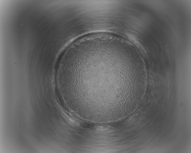 X0000067900346200604131400