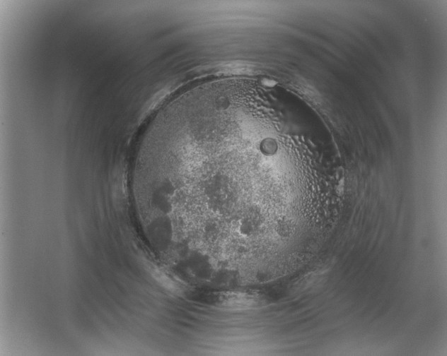 X0000067900347200604131400