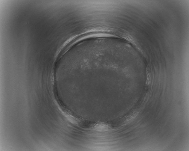 X0000067900348200604131400