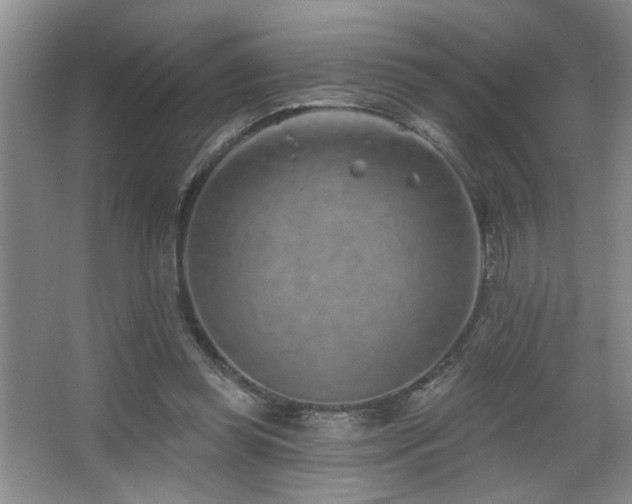 X0000067900349200604131400