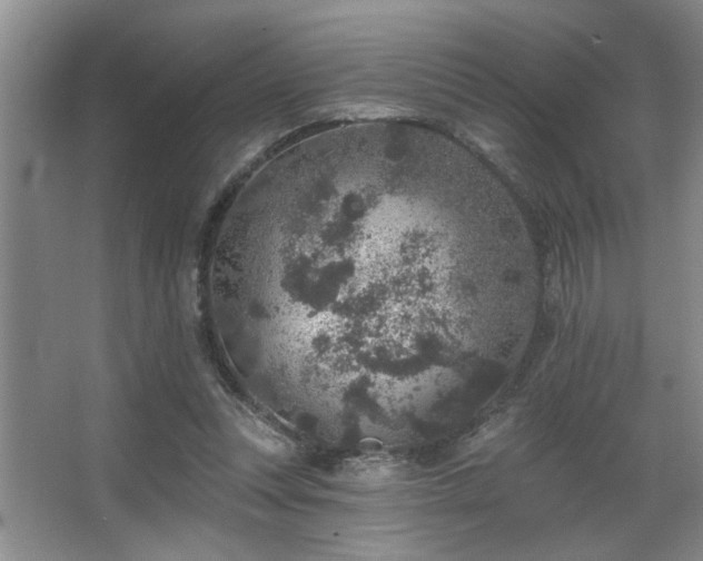 X0000067900351200604131400