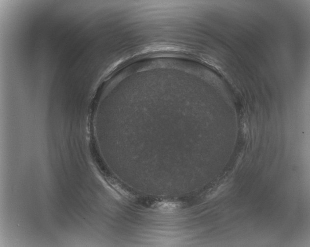 X0000067900352200604131400