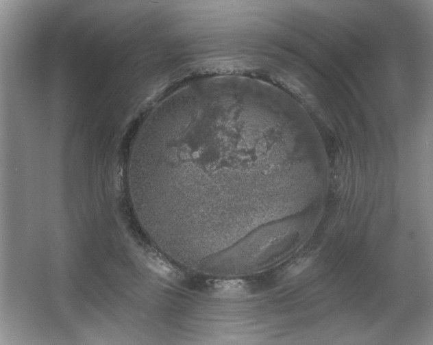 X0000067900355200604131400