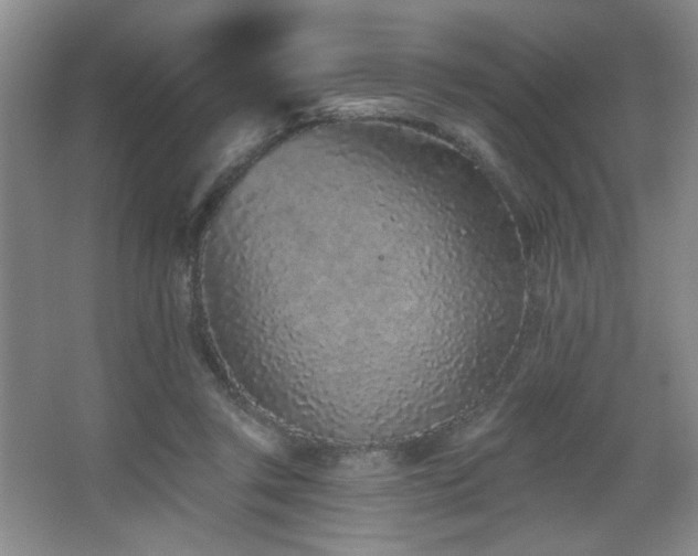 X0000067900357200604131400