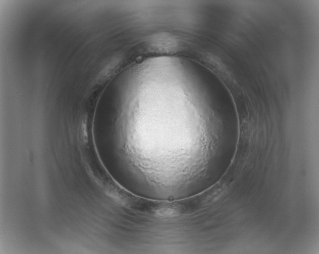 X0000067900358200604131400