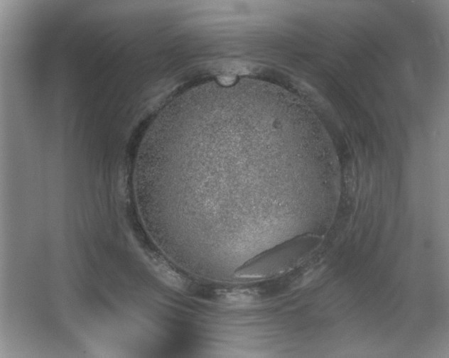 X0000067900359200604131400