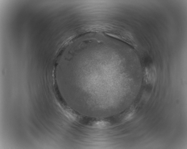 X0000067900360200604131400