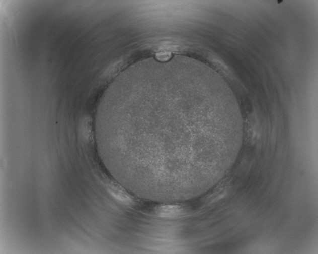 X0000067900361200604131400