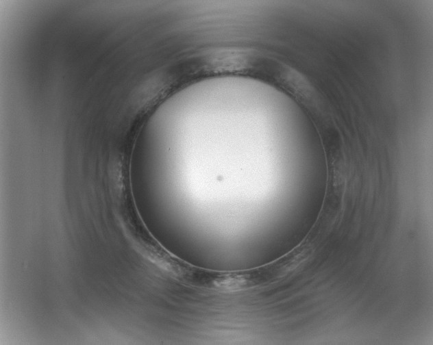 X0000067900362200604131400