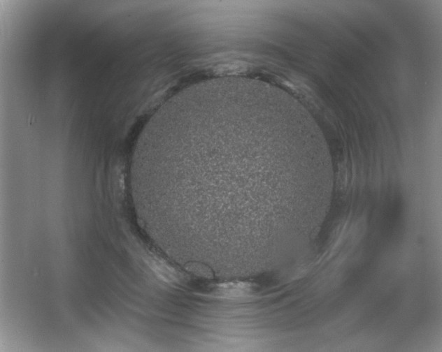 X0000067900363200604131400