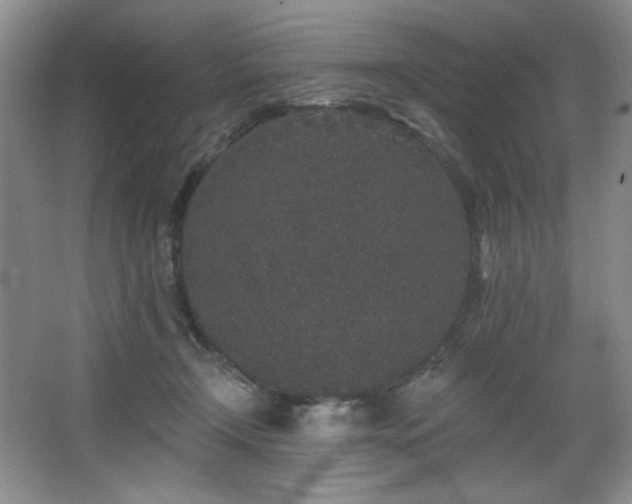 X0000067900366200604131400