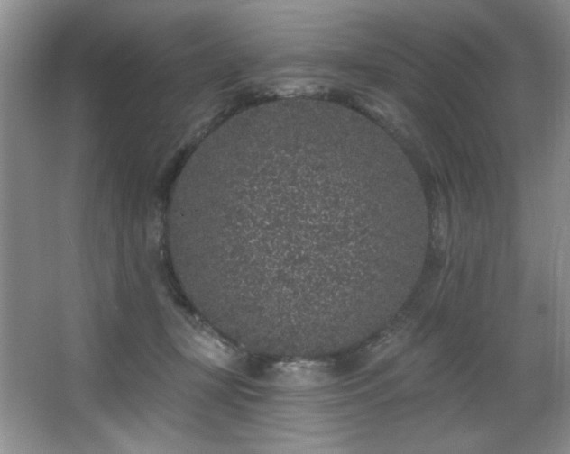 X0000067900367200604131400