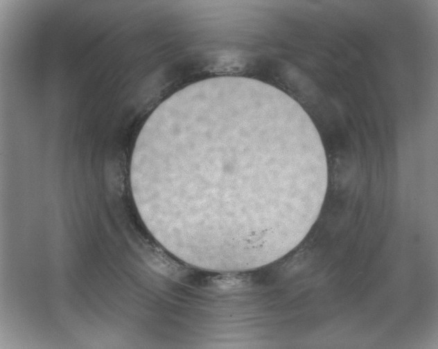 X0000067900370200604131400