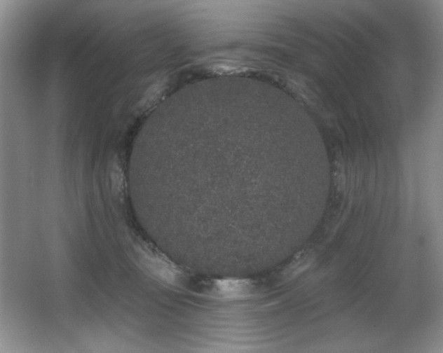 X0000067900371200604131400