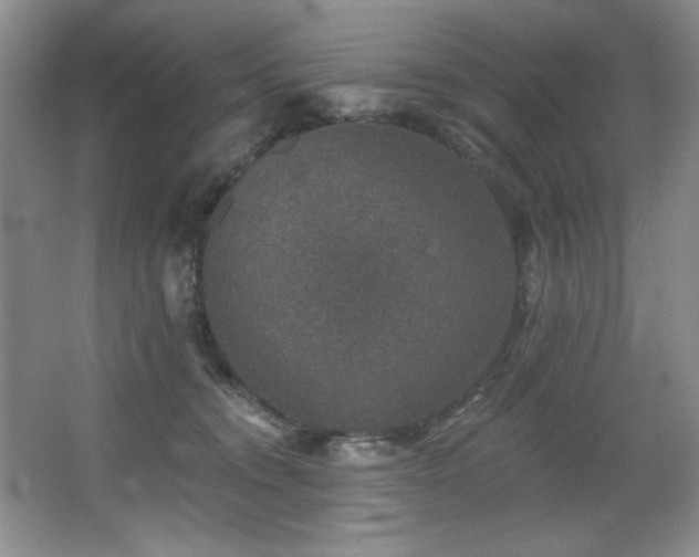 X0000067900372200604131401