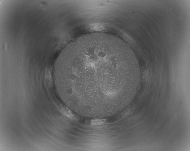 X0000067900373200604131401