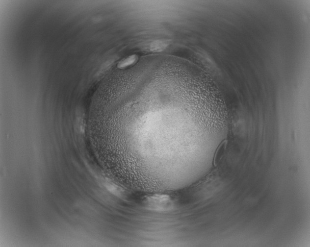 X0000067900374200604131401