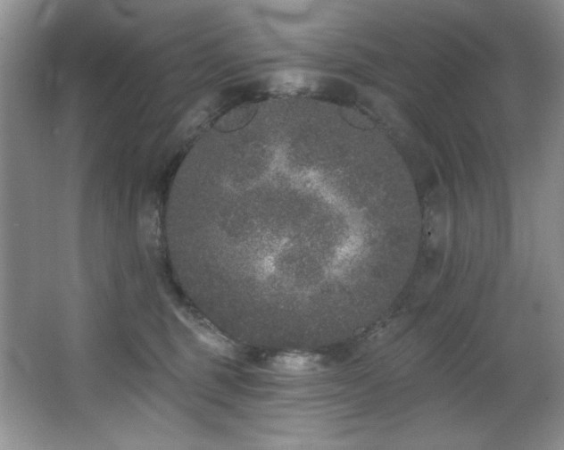 X0000067900375200604131401