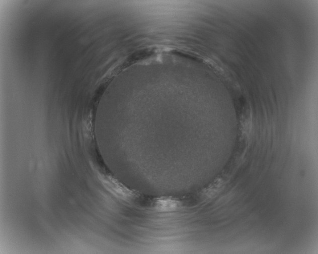 X0000067900376200604131401