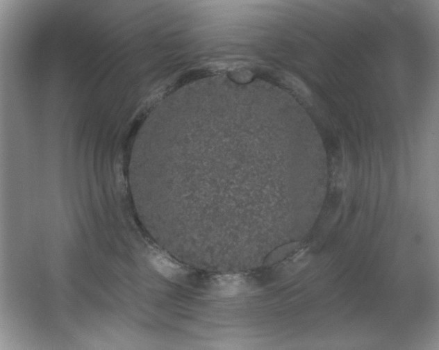 X0000067900377200604131401