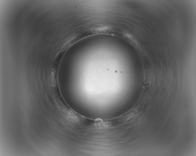 X0000067900378200604131401