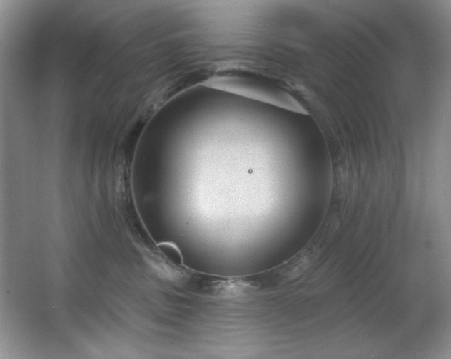 X0000067900379200604131401